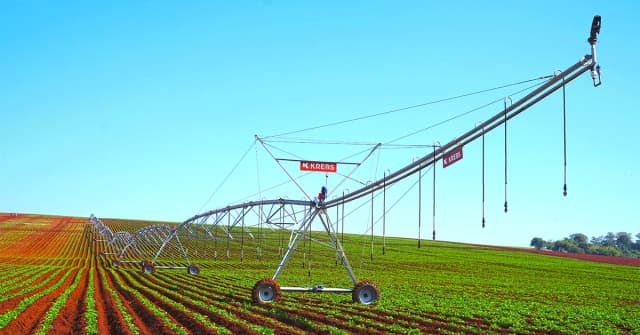grande campo de trigo verde, com pivôs de irrigação em cima cobrindo o campo inteiro